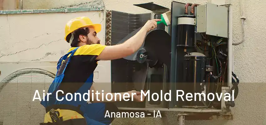  Air Conditioner Mold Removal Anamosa - IA