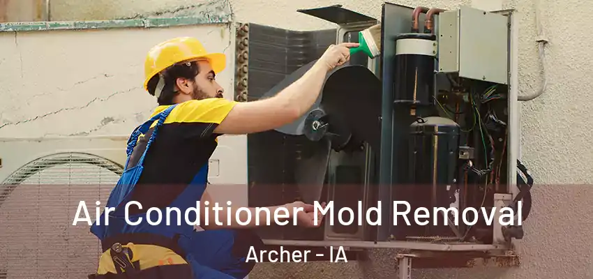 Air Conditioner Mold Removal Archer - IA