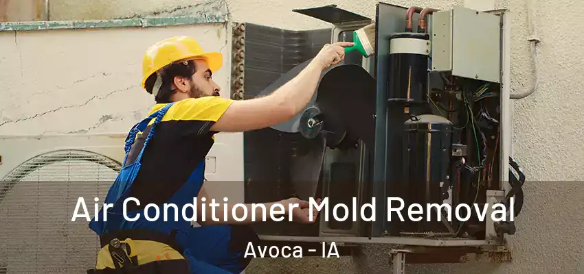  Air Conditioner Mold Removal Avoca - IA