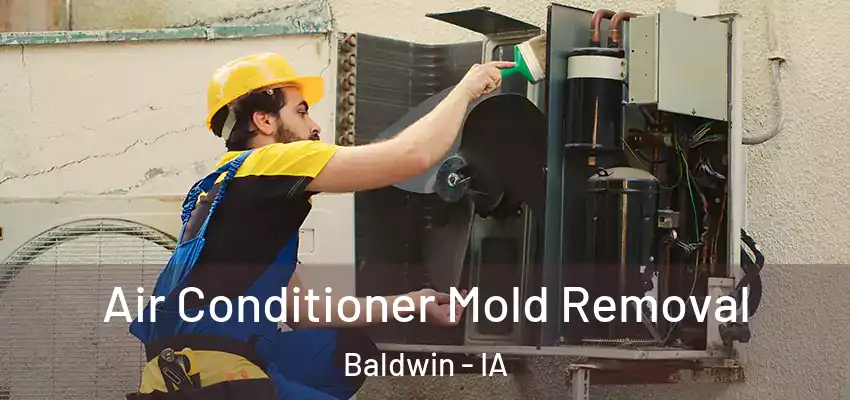 Air Conditioner Mold Removal Baldwin - IA