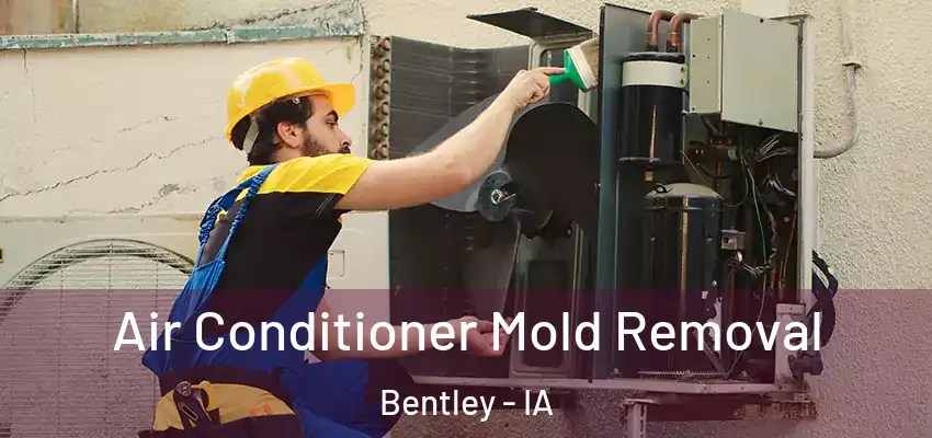 Air Conditioner Mold Removal Bentley - IA