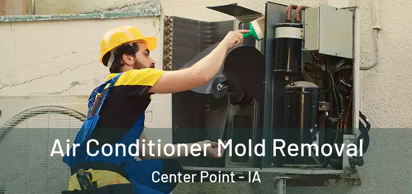 Air Conditioner Mold Removal Center Point - IA