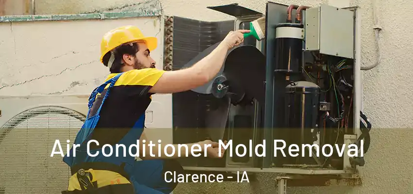 Air Conditioner Mold Removal Clarence - IA
