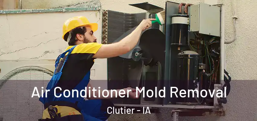 Air Conditioner Mold Removal Clutier - IA