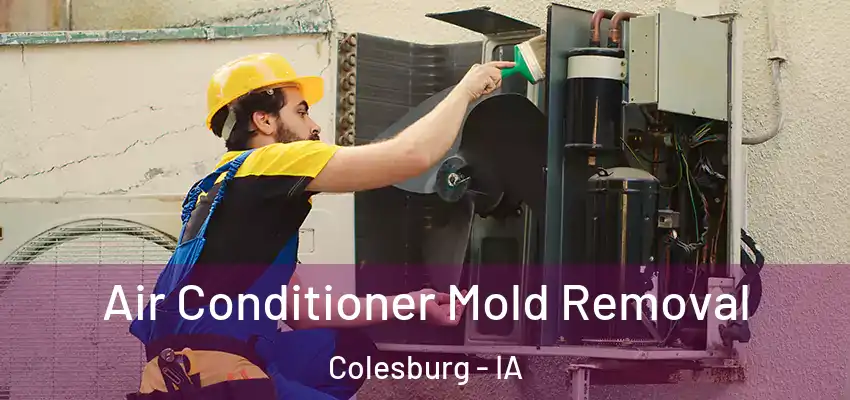 Air Conditioner Mold Removal Colesburg - IA