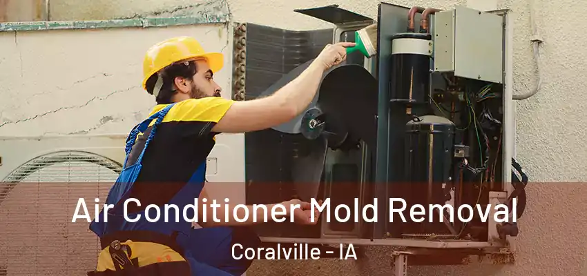 Air Conditioner Mold Removal Coralville - IA