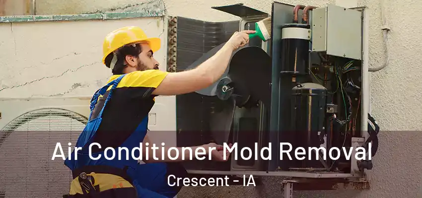 Air Conditioner Mold Removal Crescent - IA