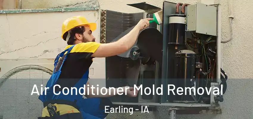  Air Conditioner Mold Removal Earling - IA