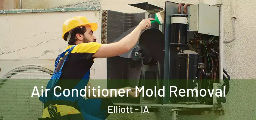  Air Conditioner Mold Removal Elliott - IA