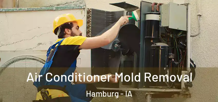  Air Conditioner Mold Removal Hamburg - IA
