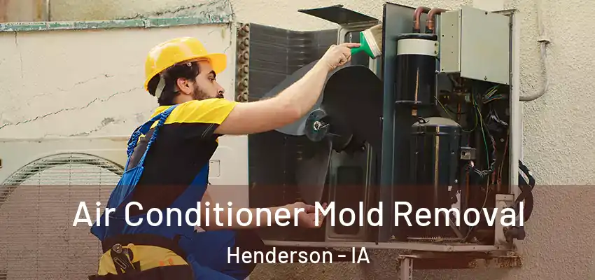  Air Conditioner Mold Removal Henderson - IA