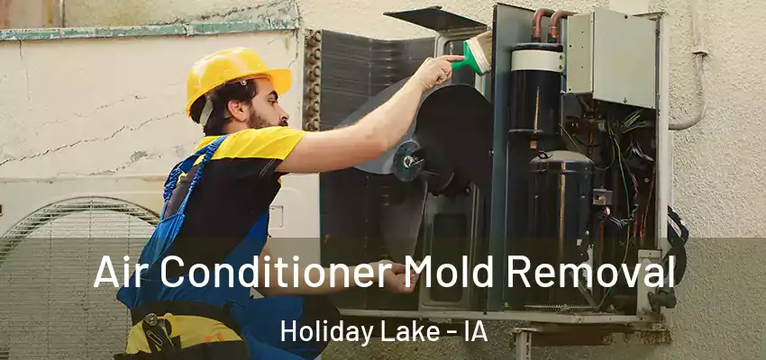  Air Conditioner Mold Removal Holiday Lake - IA
