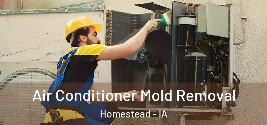  Air Conditioner Mold Removal Homestead - IA