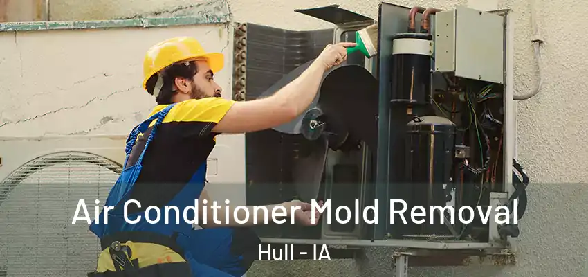  Air Conditioner Mold Removal Hull - IA