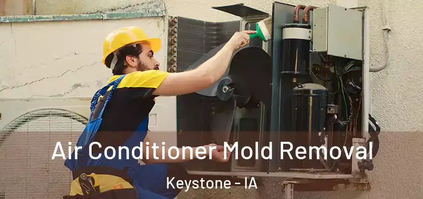  Air Conditioner Mold Removal Keystone - IA