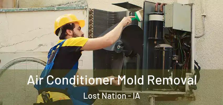 Air Conditioner Mold Removal Lost Nation - IA