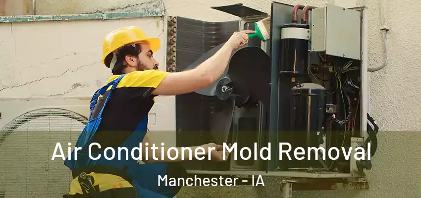 Air Conditioner Mold Removal Manchester - IA