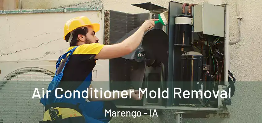  Air Conditioner Mold Removal Marengo - IA