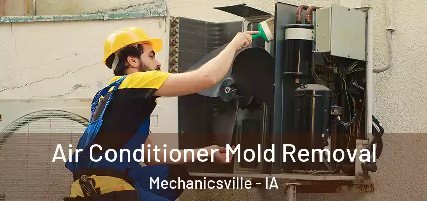 Air Conditioner Mold Removal Mechanicsville - IA