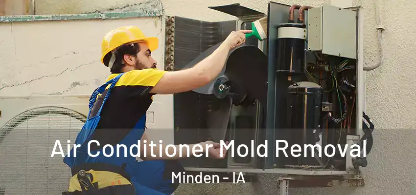 Air Conditioner Mold Removal Minden - IA