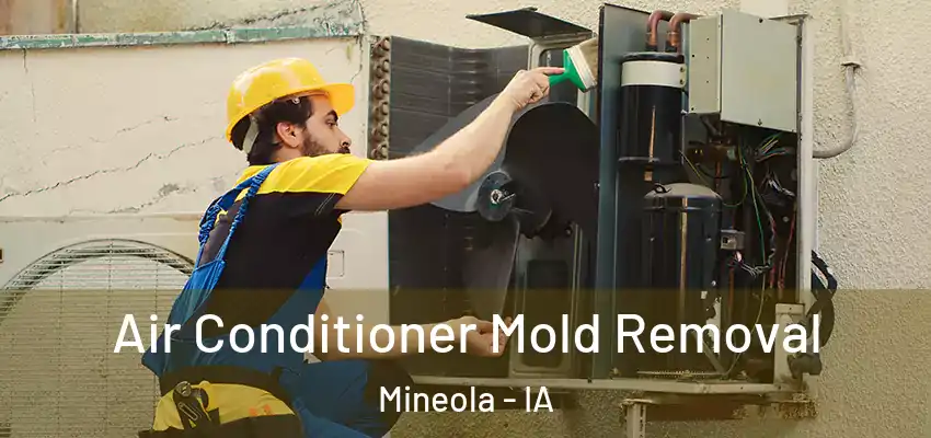 Air Conditioner Mold Removal Mineola - IA