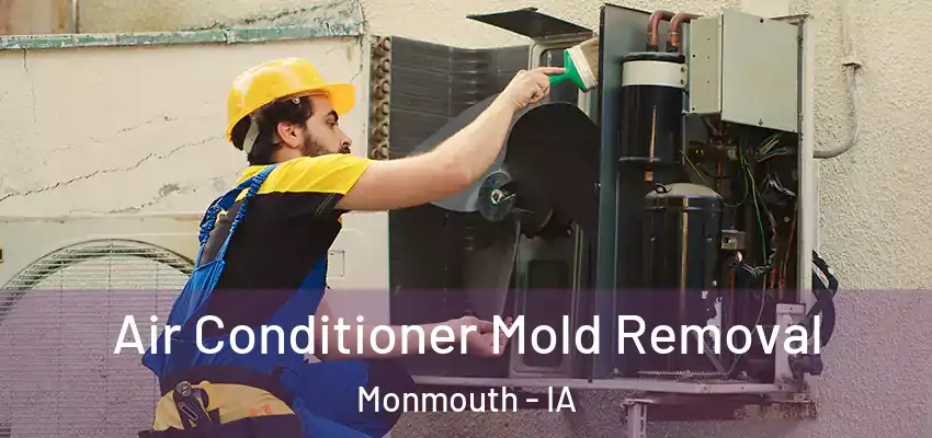  Air Conditioner Mold Removal Monmouth - IA