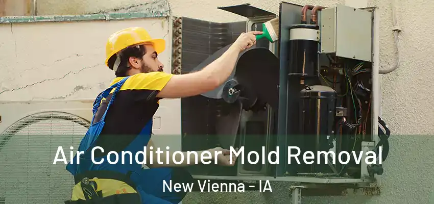 Air Conditioner Mold Removal New Vienna - IA