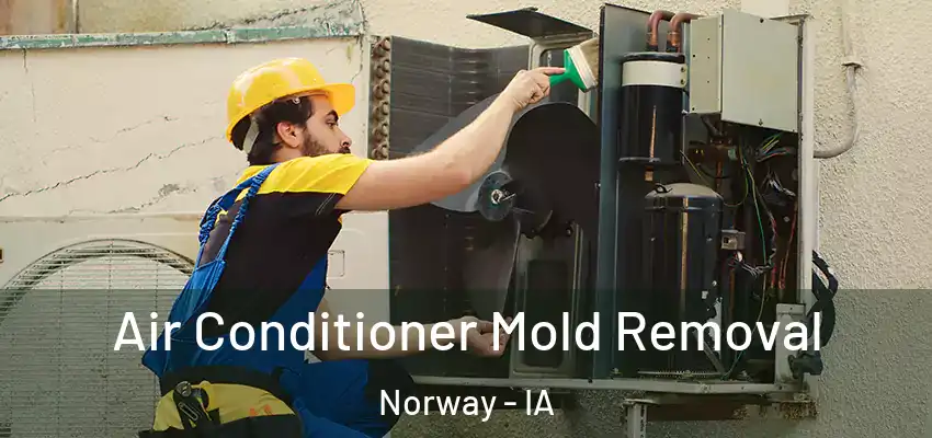  Air Conditioner Mold Removal Norway - IA
