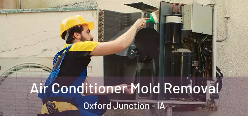 Air Conditioner Mold Removal Oxford Junction - IA
