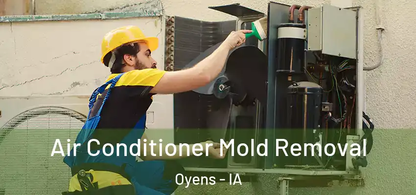  Air Conditioner Mold Removal Oyens - IA