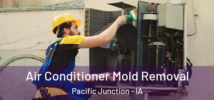  Air Conditioner Mold Removal Pacific Junction - IA