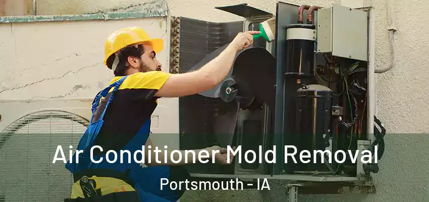  Air Conditioner Mold Removal Portsmouth - IA