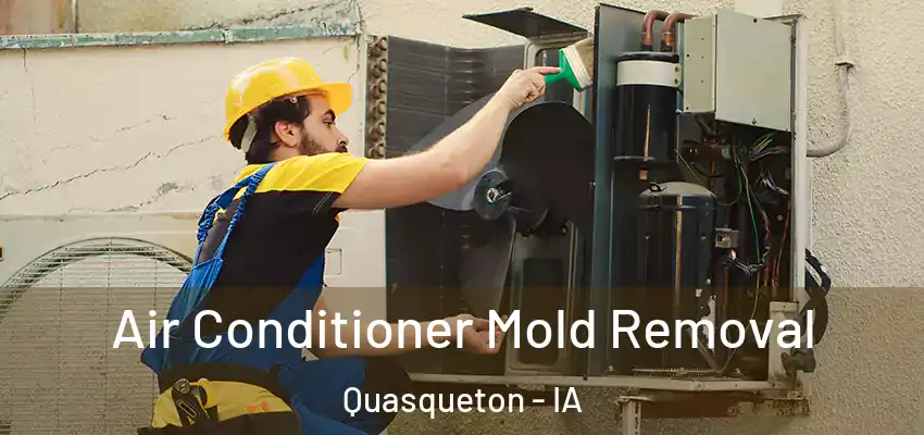  Air Conditioner Mold Removal Quasqueton - IA