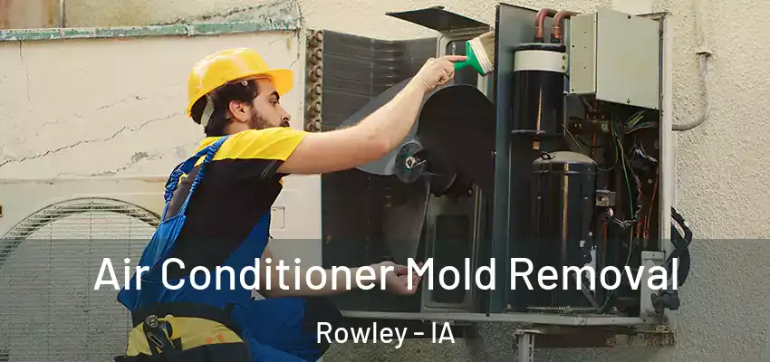  Air Conditioner Mold Removal Rowley - IA