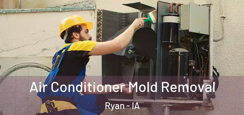  Air Conditioner Mold Removal Ryan - IA