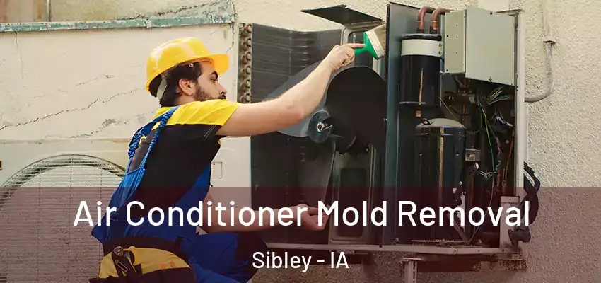  Air Conditioner Mold Removal Sibley - IA