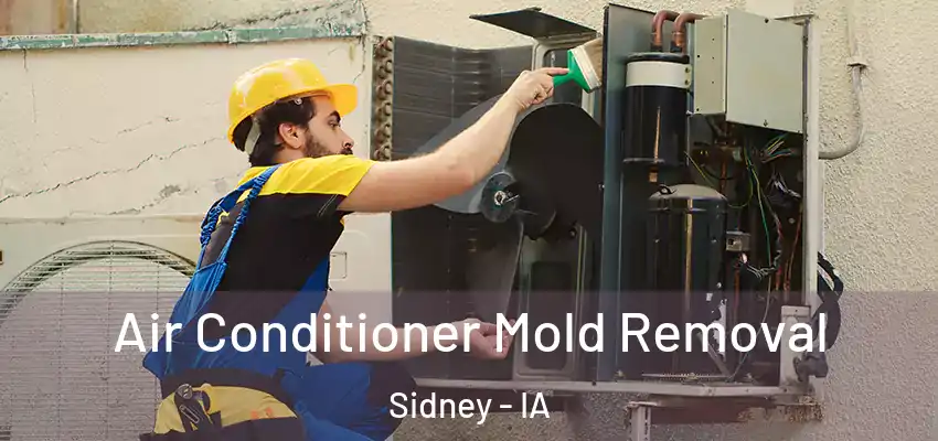  Air Conditioner Mold Removal Sidney - IA
