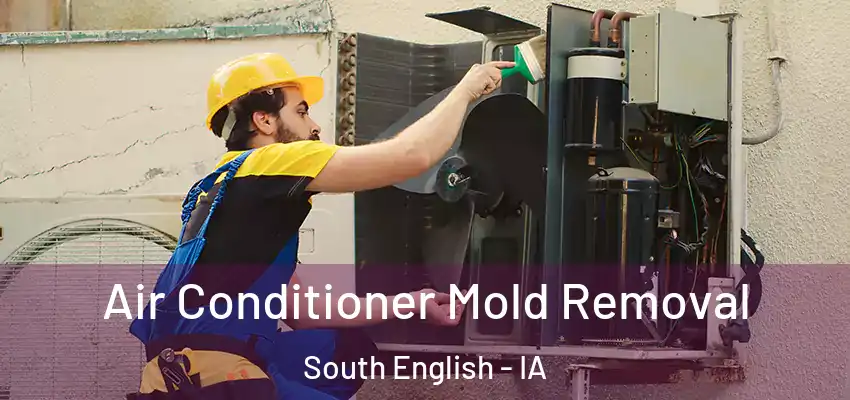 Air Conditioner Mold Removal South English - IA