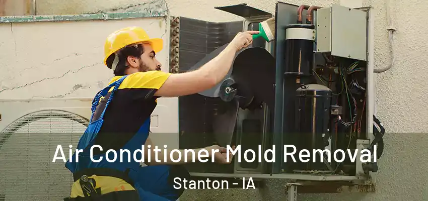 Air Conditioner Mold Removal Stanton - IA