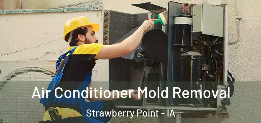 Air Conditioner Mold Removal Strawberry Point - IA