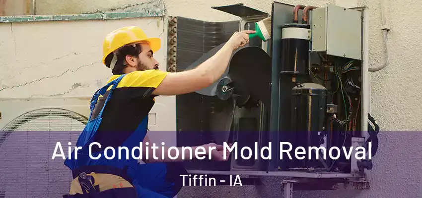  Air Conditioner Mold Removal Tiffin - IA