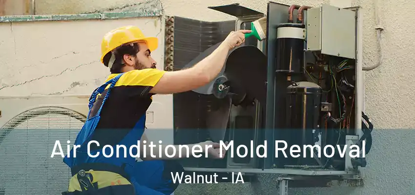 Air Conditioner Mold Removal Walnut - IA
