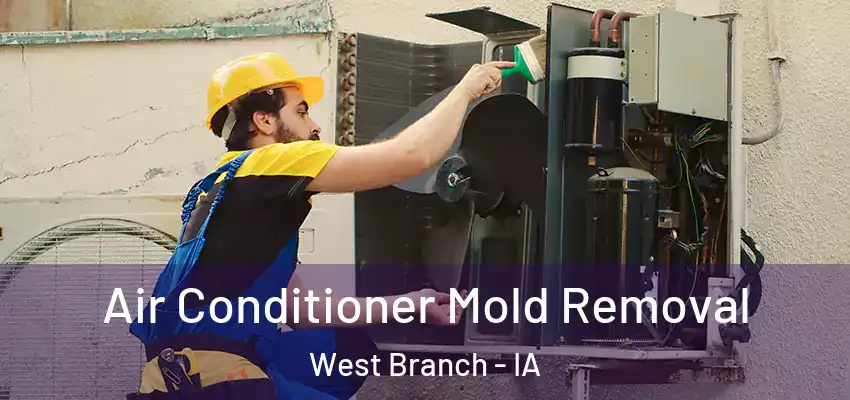 Air Conditioner Mold Removal West Branch - IA