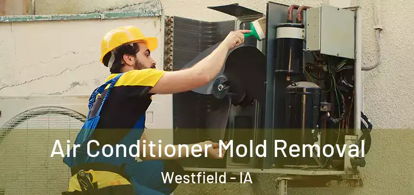  Air Conditioner Mold Removal Westfield - IA