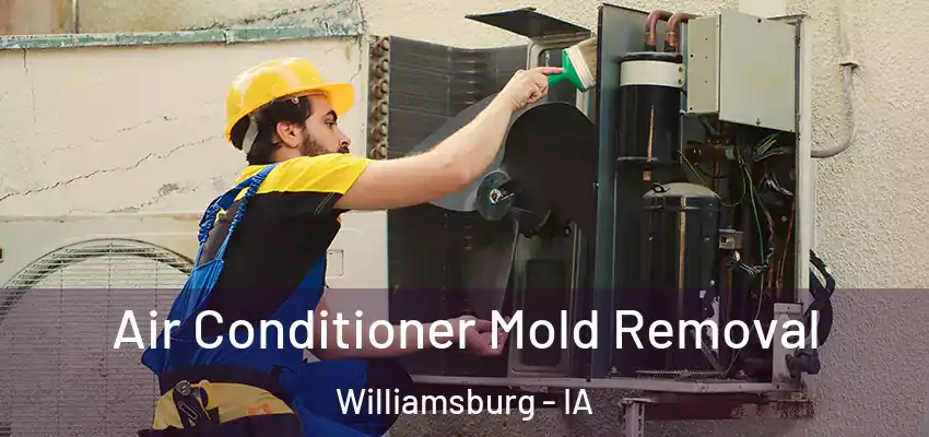  Air Conditioner Mold Removal Williamsburg - IA