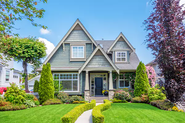 Black Mold Clean Up in Anamosa, IA