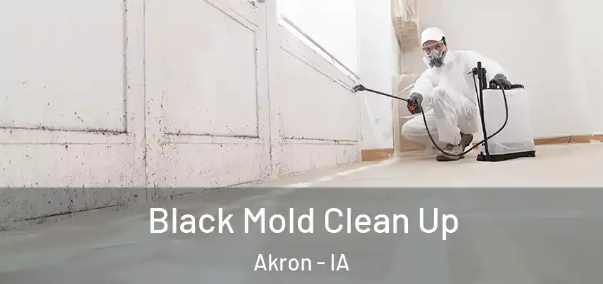 Black Mold Clean Up Akron - IA