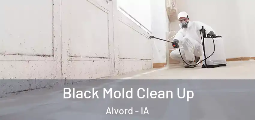 Black Mold Clean Up Alvord - IA