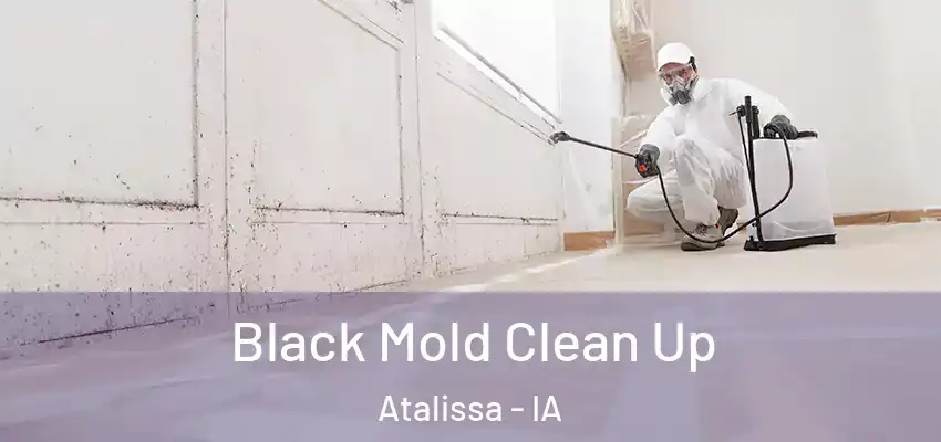 Black Mold Clean Up Atalissa - IA