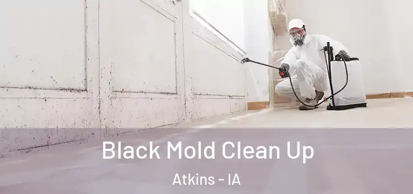 Black Mold Clean Up Atkins - IA